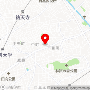 三井のリパーク 目黒中町1丁目第4の地図