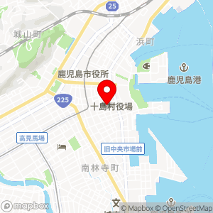 セブン-イレブン 鹿児島堀江町店の地図