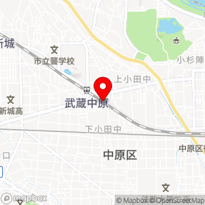 Parking in 武蔵中原駅前第2の地図