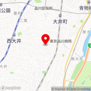 タイムズ 大井第11の地図