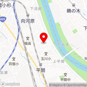 エコロパーク 川崎中丸子第1の地図
