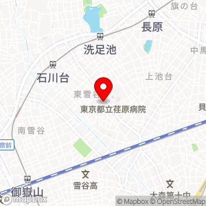三井のリパーク 東雪谷3丁目第5の地図