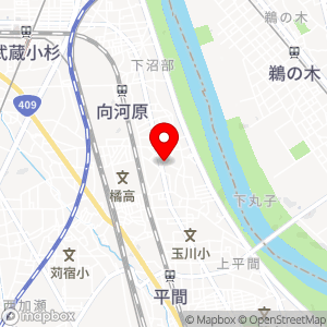 タイムズ 中丸子第5の地図