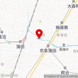 タイムズ 蒲田第28の地図