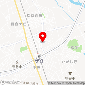 スペース24 チケパ 守谷駅前第10の地図