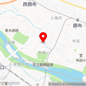 タイムズ 調布多摩川第5の地図