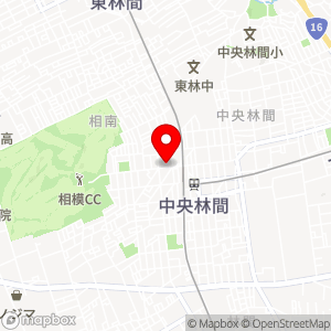 オオゼキ 中央林間店の地図