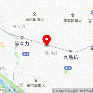 タマパーク 尾山台駐車場の地図