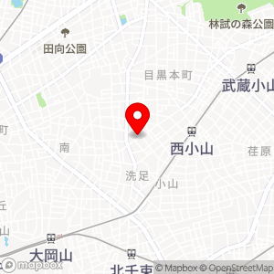 ナビパーク 洗足第5の地図