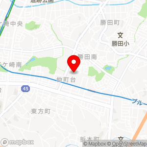 ナビパーク 勝田南第2の地図