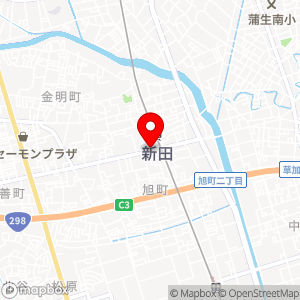東洋CARMAX 草加新田の地図