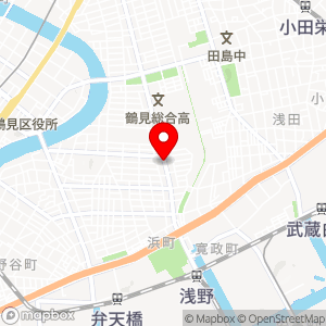 タイムズ 鶴見向井町の地図