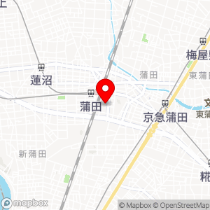 エコロパーク デュオステージ蒲田の地図