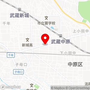 GSパーク 武蔵中原の地図