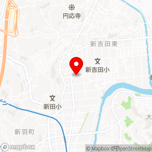 ナビパーク 新吉田東第2の地図