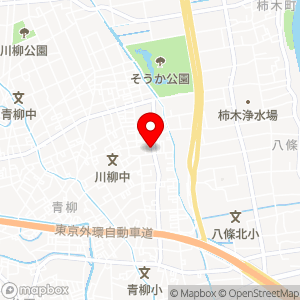 ミニストップ 草加青柳店の地図