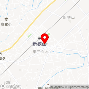 テリオスパーキング TERIOS TIME79 新狭山の地図