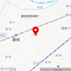 田子重 田沼店の地図