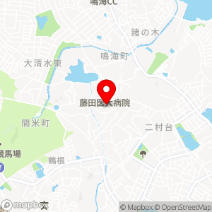 ファミリーマート フジタモール/S店の地図