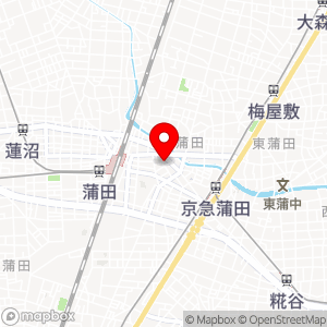 タイムズ 蒲田第33の地図