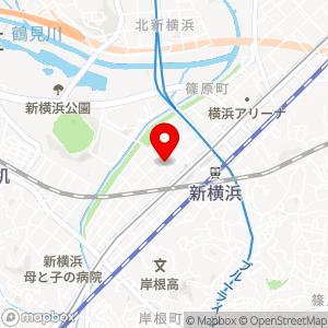 ショウワパーク 新横浜2丁目の地図