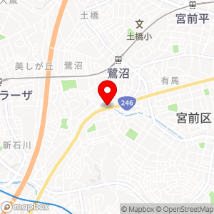 ナビパーク 川崎鷺沼第5の地図