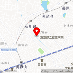 タイムズ 東雪谷第10の地図