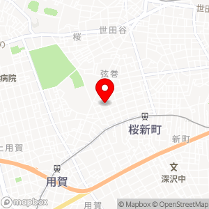 タイムズ ライフ桜新町店の地図