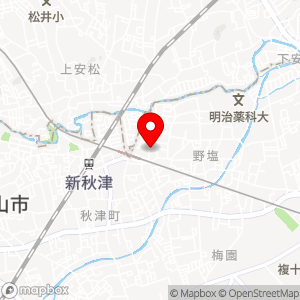 タイムズ ウェルパーク秋津駅前店の地図