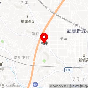 A-プライス 溝の口店の地図