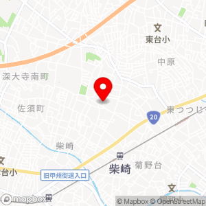 NPC24H 柴崎の地図