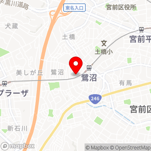 ナビパーク 川崎鷺沼第9の地図