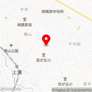 ダイレクトパーク 相模原千代田-20の地図
