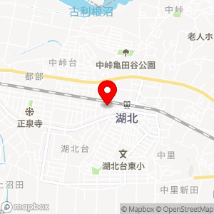 タイムズ 湖北第2の地図