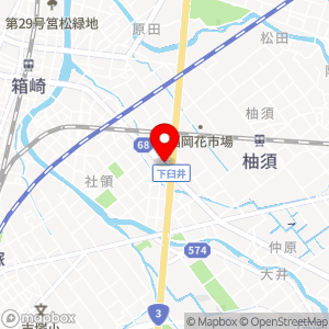 どるふぃん 筥松新町店の地図