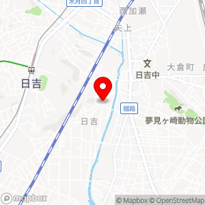 ナビパーク 日吉第3の地図