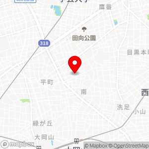 ナビパーク 碑文谷第13の地図