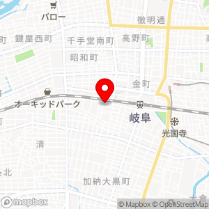 ザ・パーク 岐阜駅南の地図