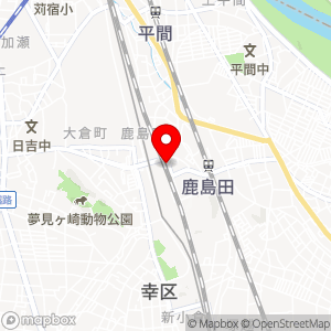 NewDays 新川崎中央の地図