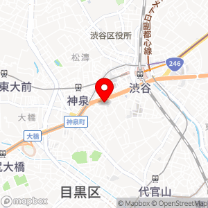 三井のリパーク 渋谷南平台町第2の地図