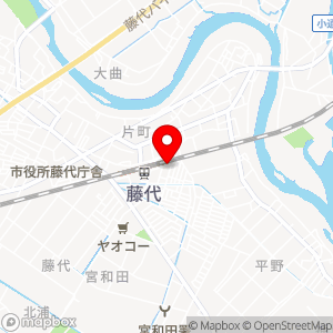 タイムズ 藤代駅前の地図