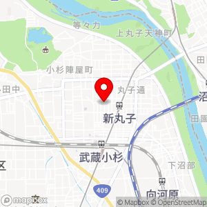 パークアベニュー 新丸子第1の地図