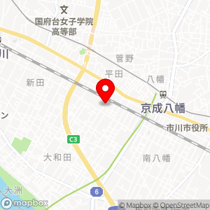 ザ・パーク 市川平田第1の地図