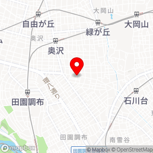タイムズ 東玉川の地図
