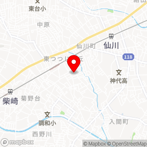 ナビパーク 東つつじヶ丘第1の地図