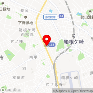 ローソン 瑞穂東松原店の地図