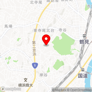 タイムズ 鶴見東寺尾中台第4の地図