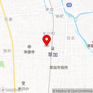 タイムズ 草加氷川町第19の地図