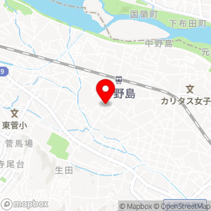 ローソン100 川崎中野島の地図