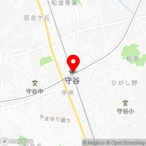 セブン-イレブン 関東鉄道守谷駅改札前店の地図